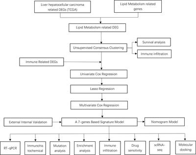 A novel signature incorporating lipid metabolism- and immune-related genes to predict the prognosis and immune landscape in hepatocellular carcinoma